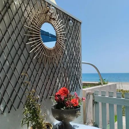Apartament 1 Ere Ligne - Pieds Dans Le Sable